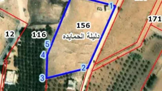 أرض في ارض للبيع مساحه  - 30,000 دأ - صورة 1