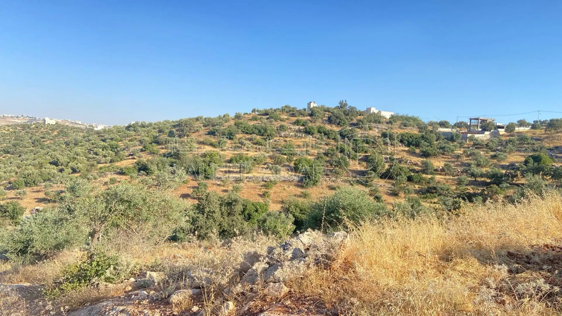 أرض في بدر الجديده - 1,360,000 دأ - صورة 1