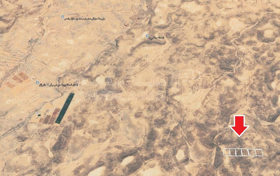 أرض في المناسف الغربيه - 4,000 دأ - صورة 1