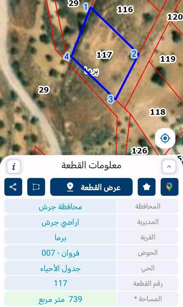 أرض في جرش برما - 7,000 دأ - صورة 1