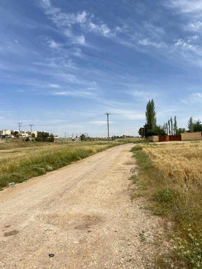 أرض في اللبن قرب مسجد طيبه - 20,000 دأ - صورة 1