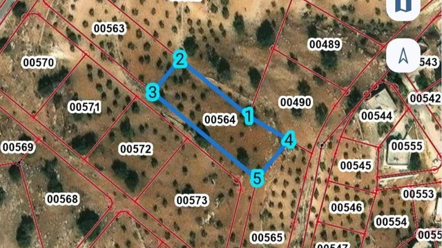 أرض في يبعد 5 كم عن جامعة عمان العربية  - 25,000 دأ - صورة 1