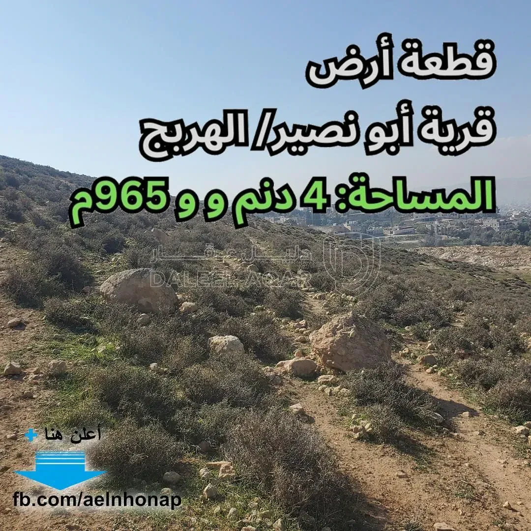 أرض في قرية أبو نصير/ الهربج - قرب مسجد الهربج - 230,000 دأ - صورة 1