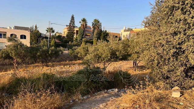 أرض - عمان - بدر الجديده - 130000 دأ
