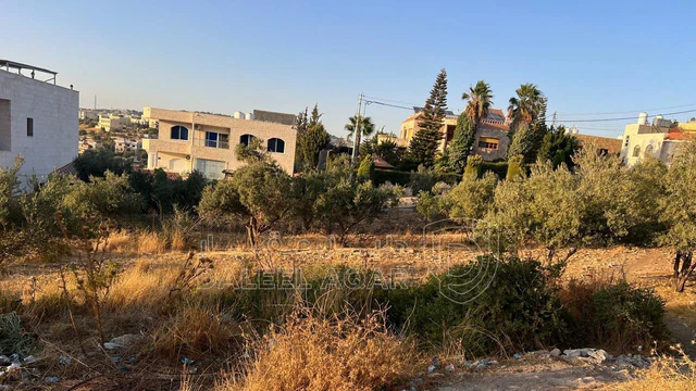 أرض في عمان - بدر الجديده - 130,000 دأ - صورة NaN
