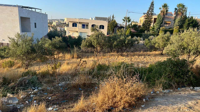 أرض في عمان - بدر الجديده - 130,000 دأ - صورة NaN