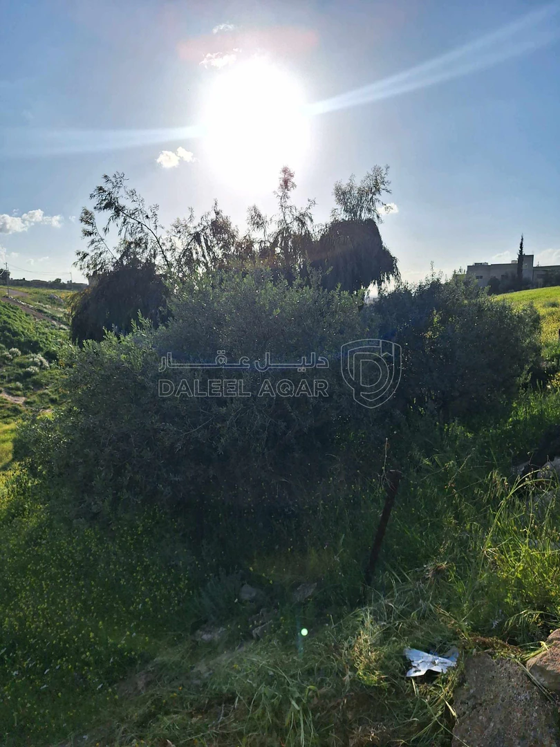 فيلا/منزل في منزل للبيع اربد بيت راس من المالك مباشره  - 70,000 دأ - صورة 1