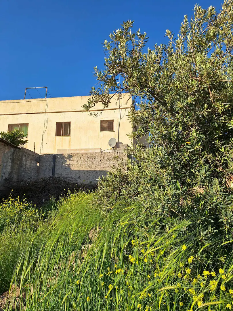 فيلا/منزل في منزل للبيع اربد بيت راس من المالك مباشره  - 70,000 دأ - صورة 1