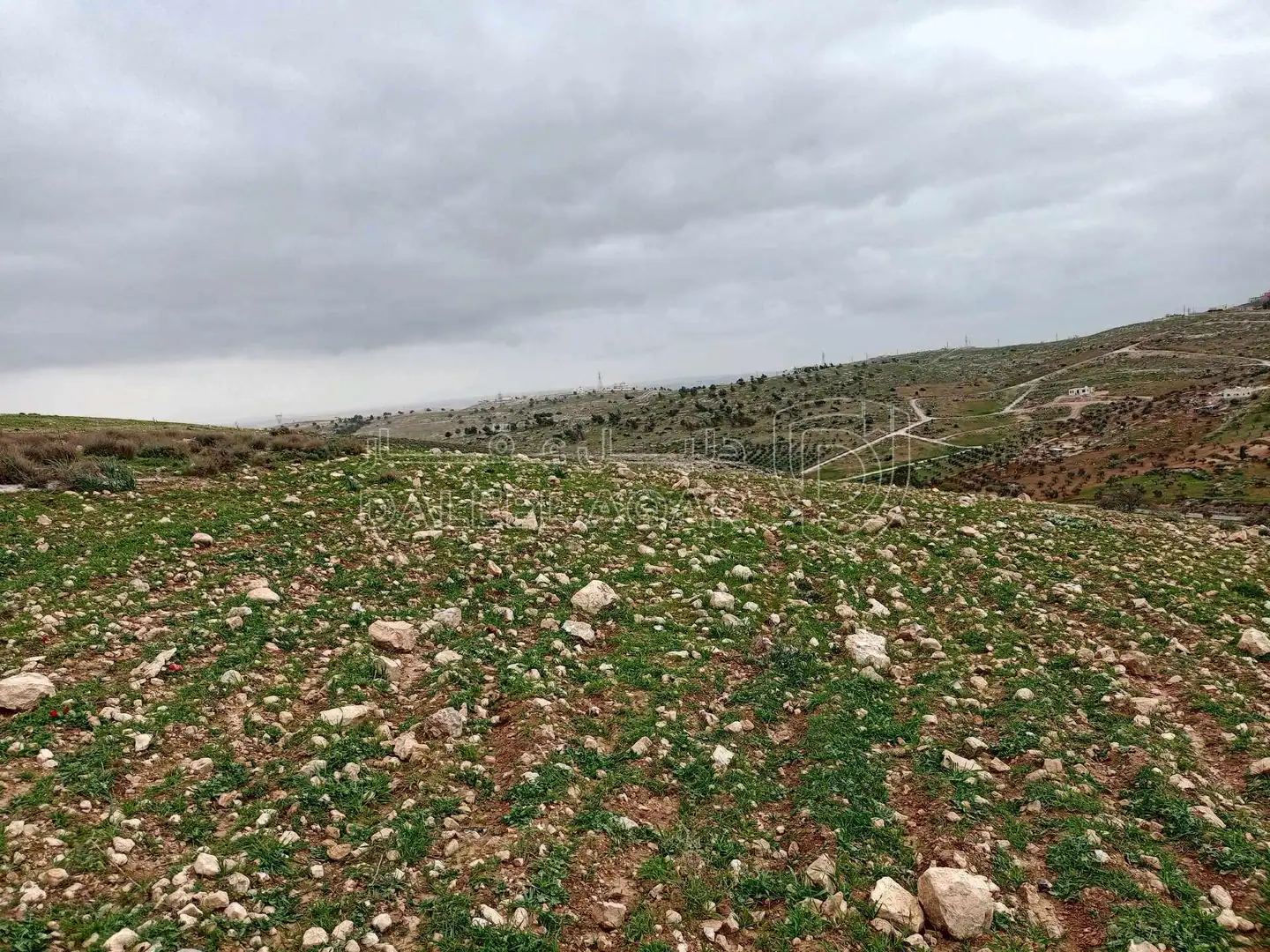 أرض في قطعة ارض مميزة جداً بانورامية رجم الشوف  - 58,000 دأ - صورة 1