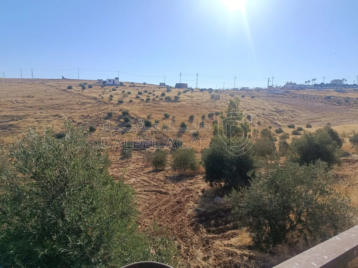 أرض في مزرعة بقرية الحمنانة حوض ام حبل بلعما - 36,000 دأ - صورة 1