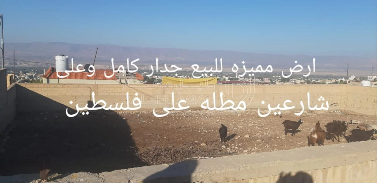 أرض في قرب مدرسة الخنساء للبنات  - 12,000 دأ - صورة 1