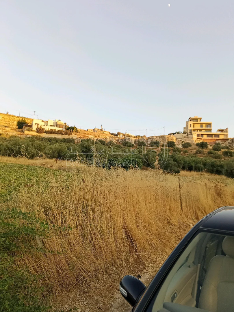 أرض في 928م سكن ا العويليه بسعر مغري - 90,000 دأ - صورة 1