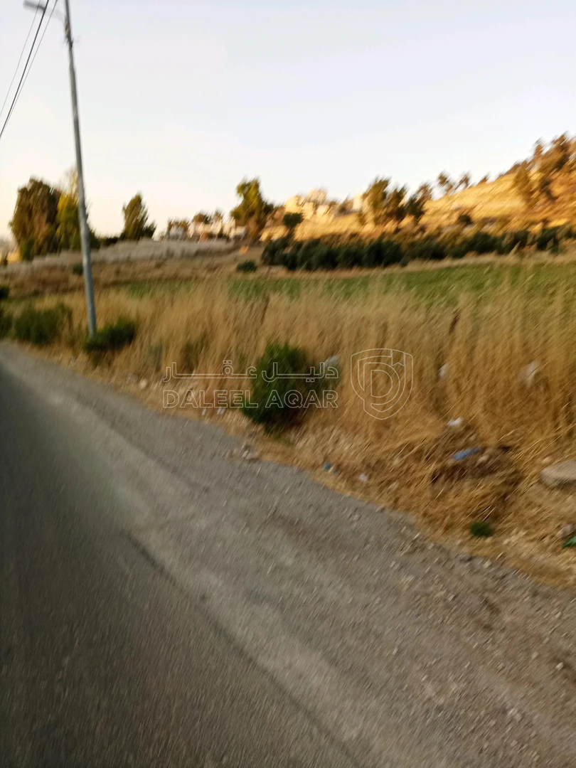 أرض في 928م سكن ا العويليه بسعر مغري - 90,000 دأ - صورة 1