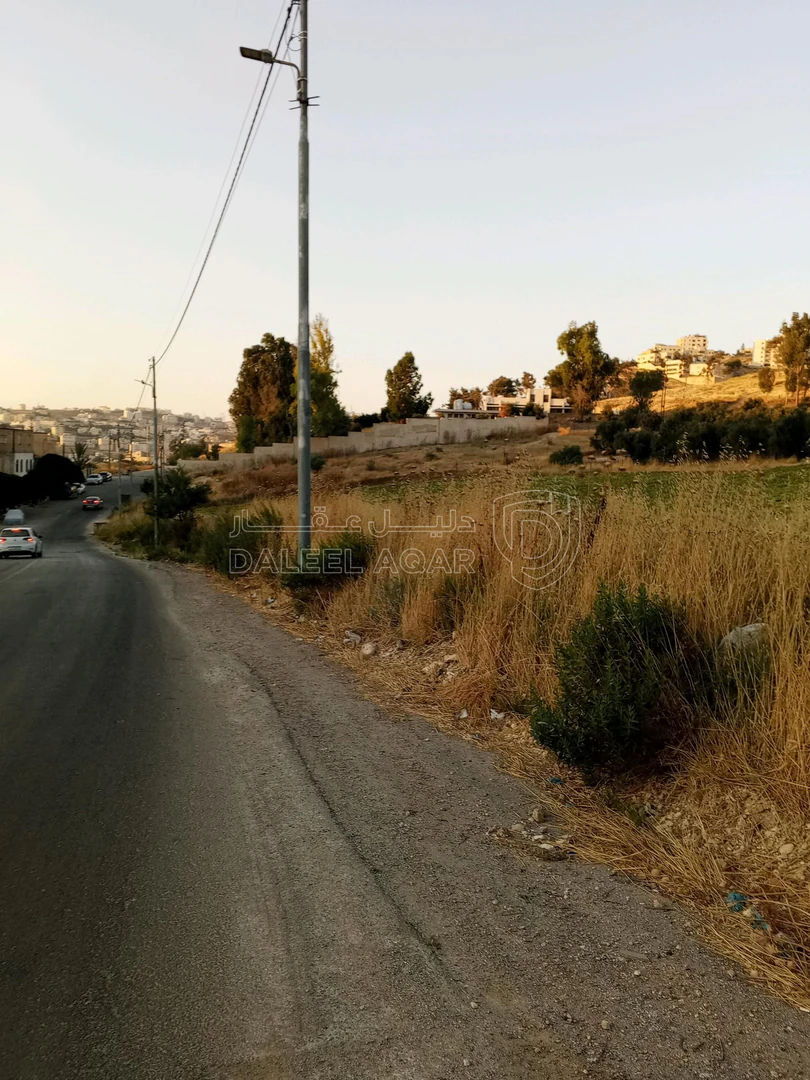 أرض في 928م سكن ا العويليه بسعر مغري - 90,000 دأ - صورة 1