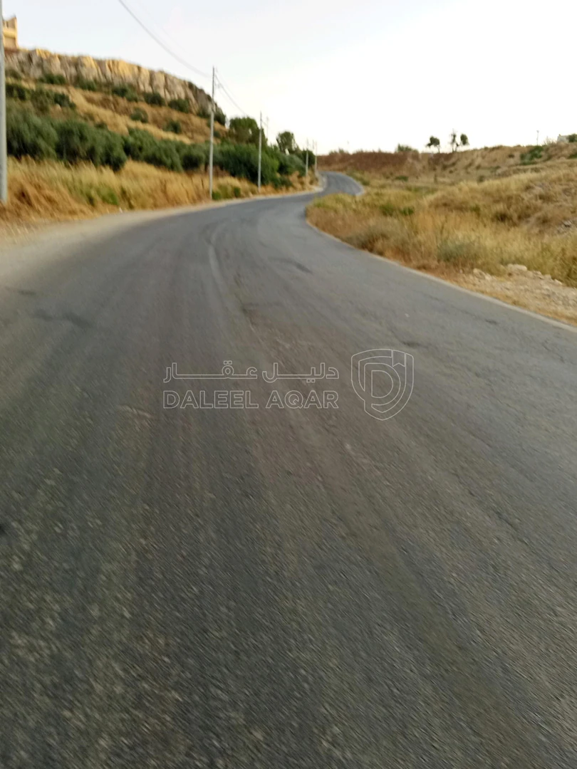 أرض في 928م سكن ا العويليه بسعر مغري - 90,000 دأ - صورة 1