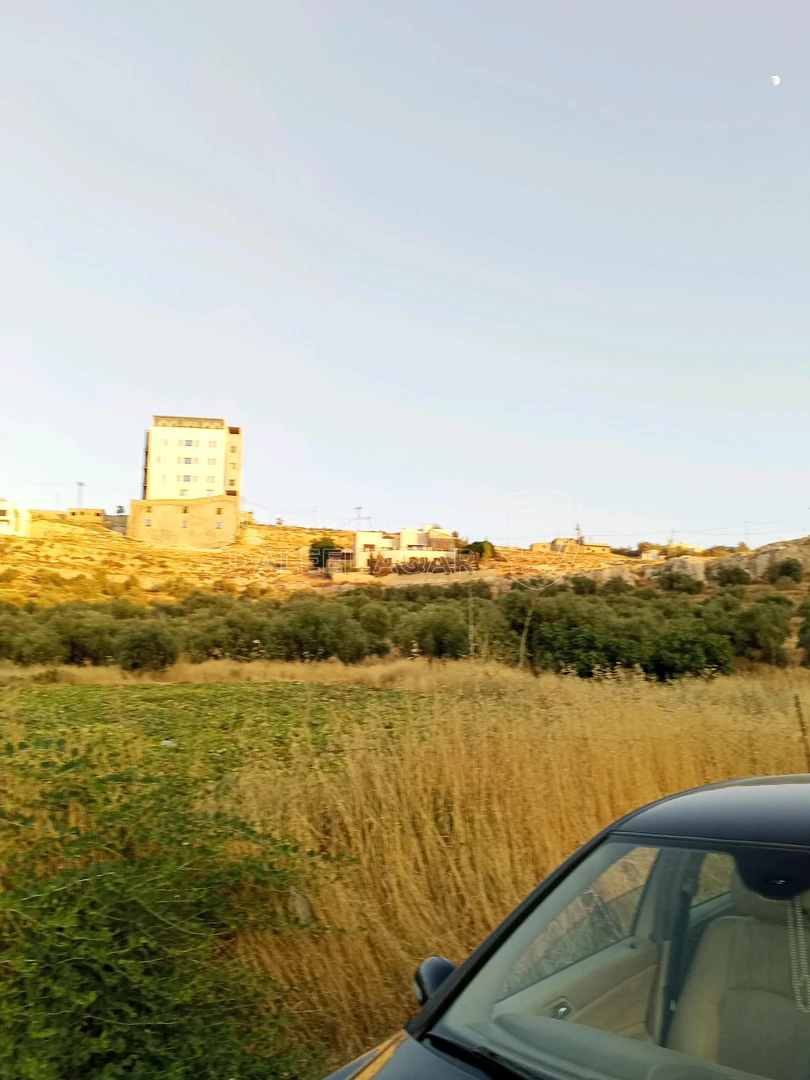 أرض في 928م سكن ا العويليه بسعر مغري - 90,000 دأ - صورة 1