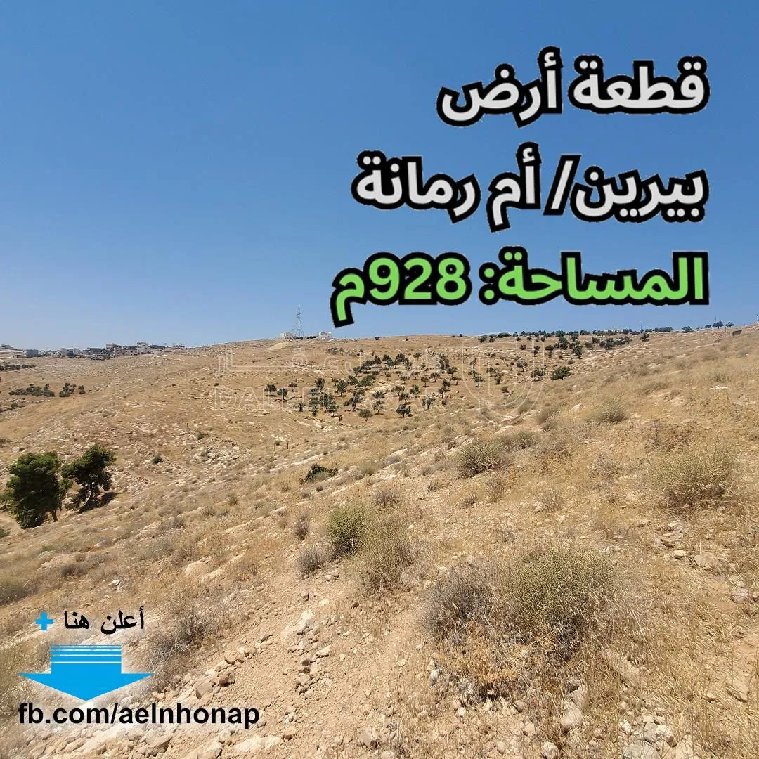 أرض في بيرين/ أم رمانة - تبعد 3كم عن شارع الأردن - 65,000 دأ - صورة 1