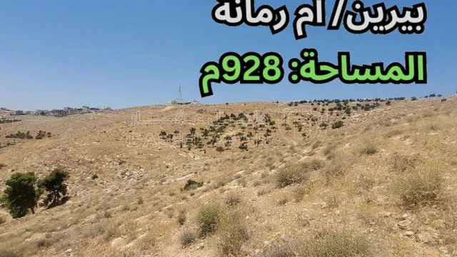 أرض - بيرين/ أم رمانة - تبعد 3كم عن شارع الأردن - 65000 دأ