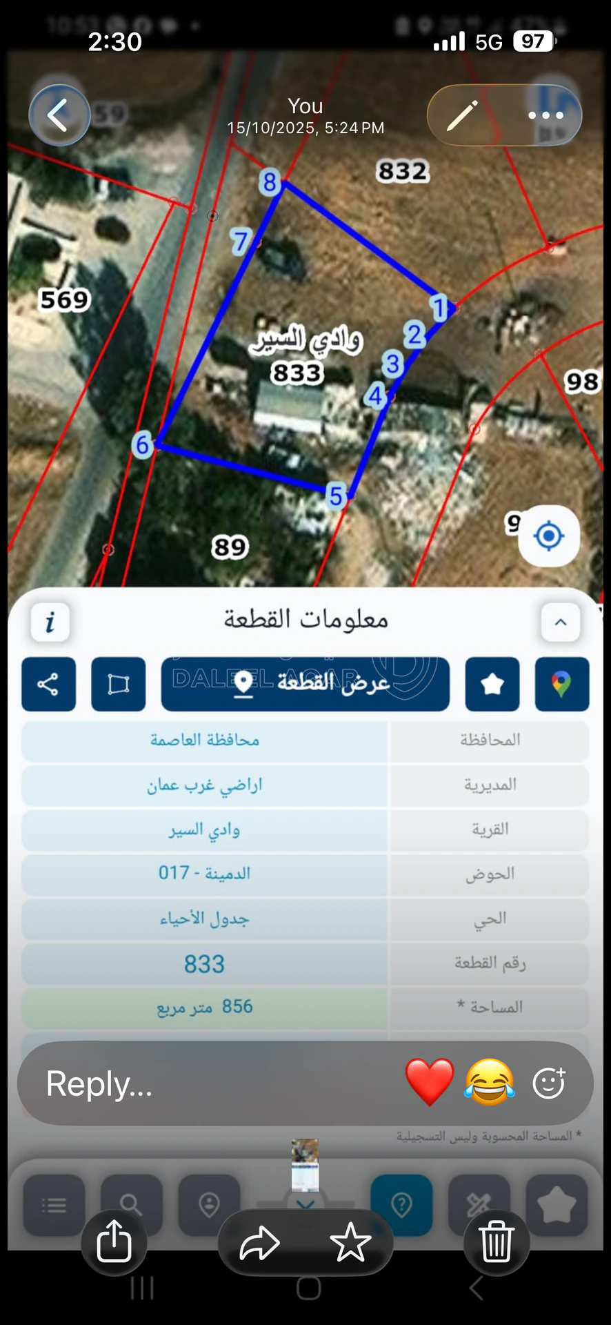 أرض في الظهير الدمينه - 300,000 دأ - صورة 3