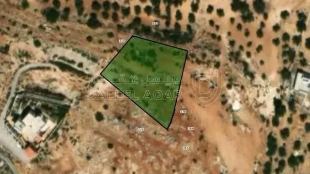 أرض - دونمين لقطة في السلط شارع الستين - 85000 دأ