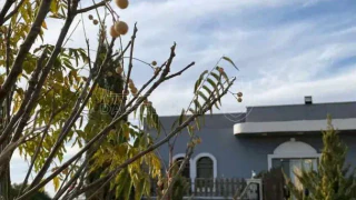 فيلا/منزل - نتل - 75000 دأ