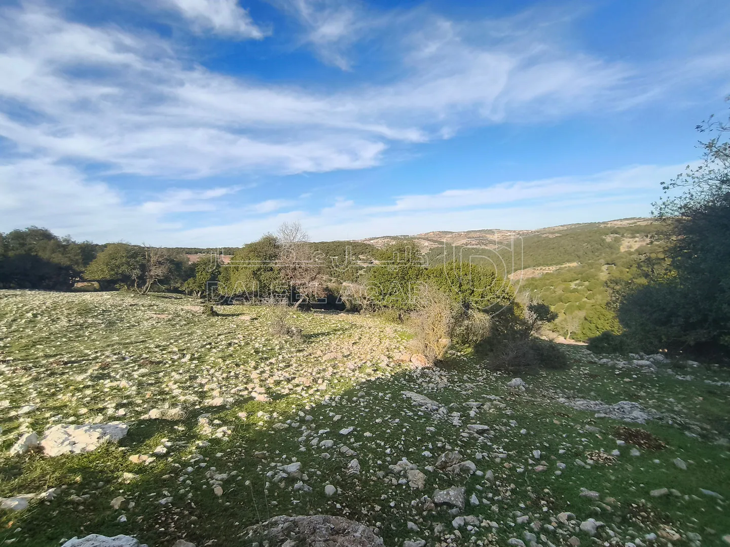 أرض في عين جنا - 55,000 دأ - صورة 1