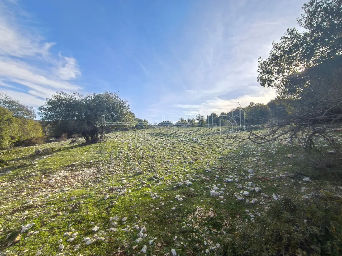 أرض في عين جنا - 55,000 دأ - صورة 1