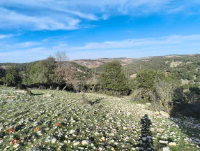 أرض في عين جنا - 55,000 دأ - صورة NaN