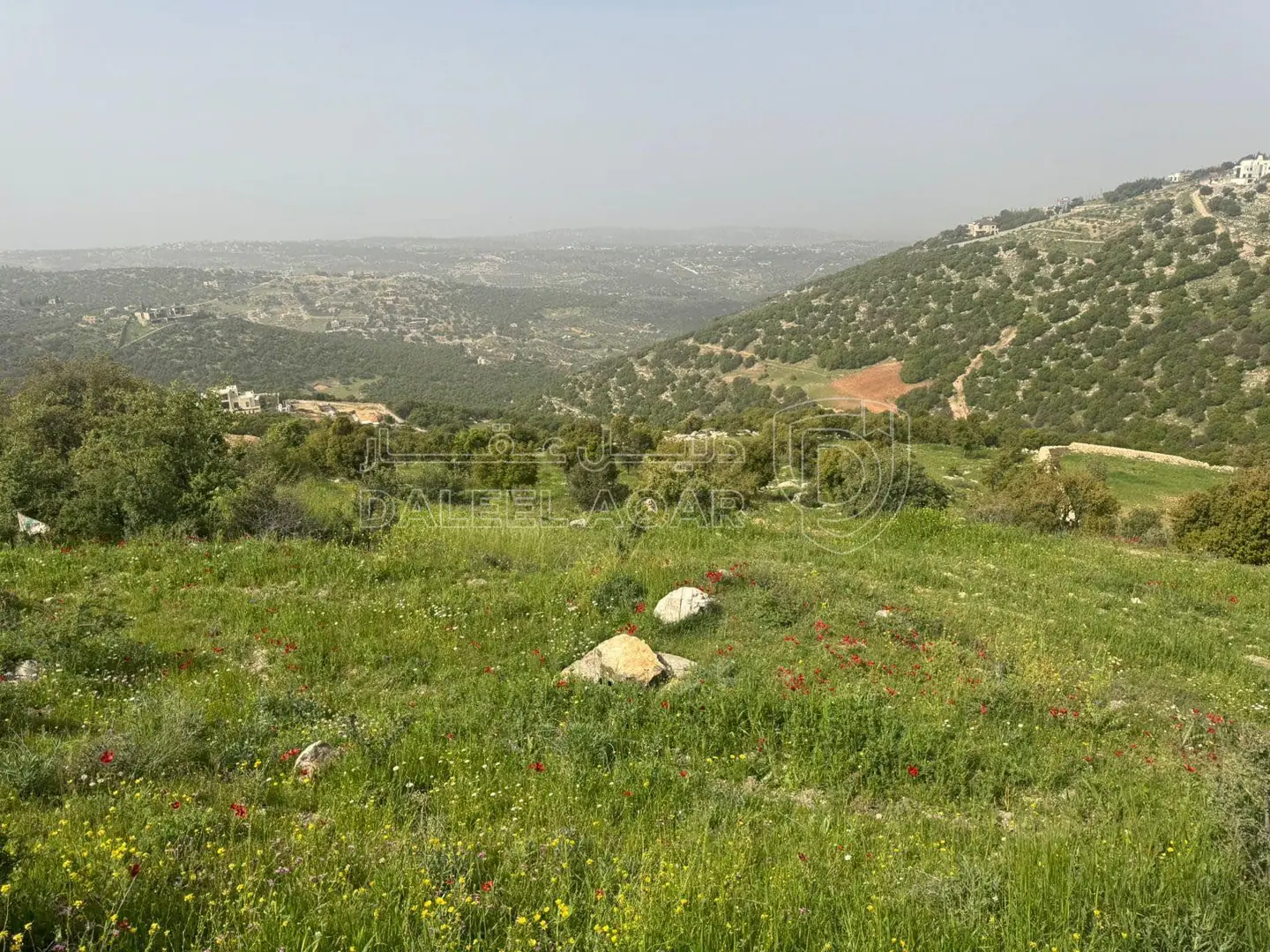 أرض في الزعتري السلط أطلاله رائعه - 250,000 دأ - صورة 1