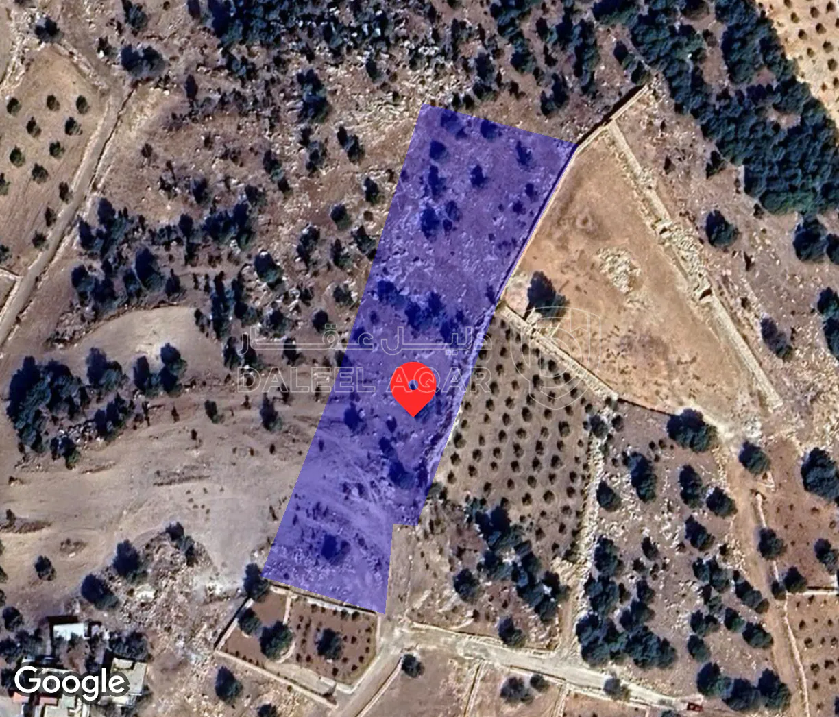 أرض في الزعتري السلط أطلاله رائعه - 250,000 دأ - صورة 1