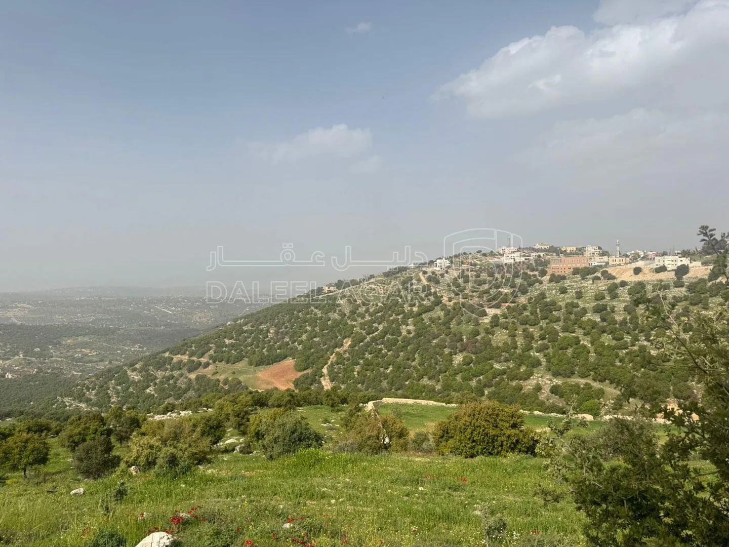 أرض في الزعتري السلط أطلاله رائعه - 250,000 دأ - صورة 1