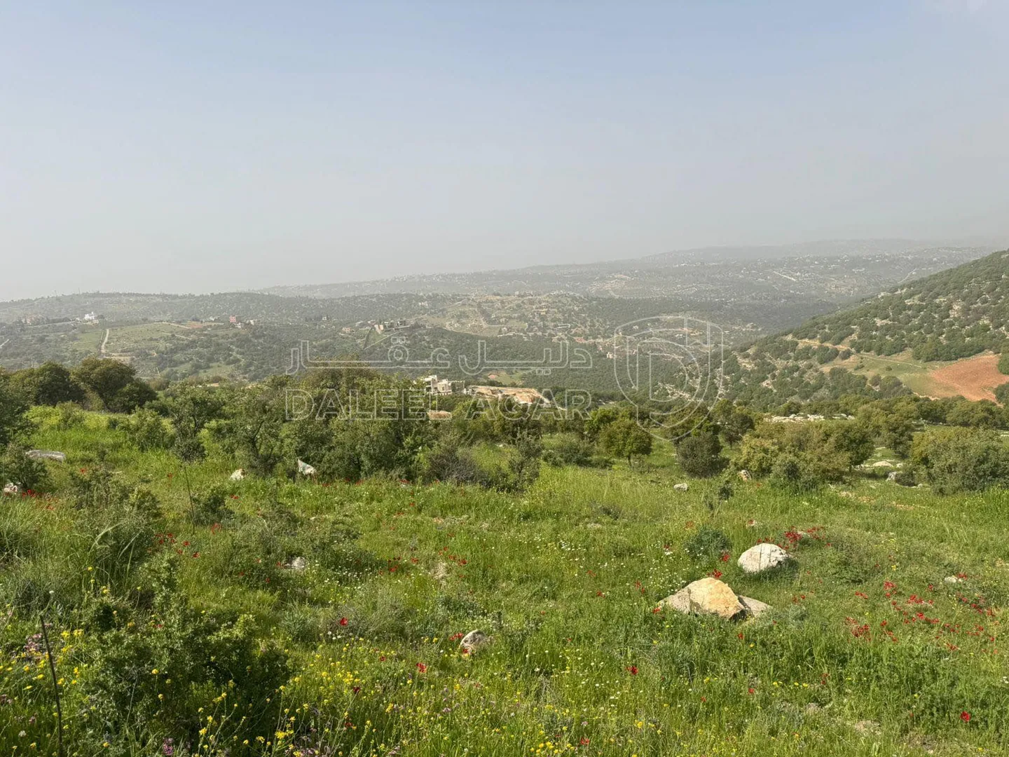 أرض في الزعتري السلط أطلاله رائعه - 250,000 دأ - صورة 1