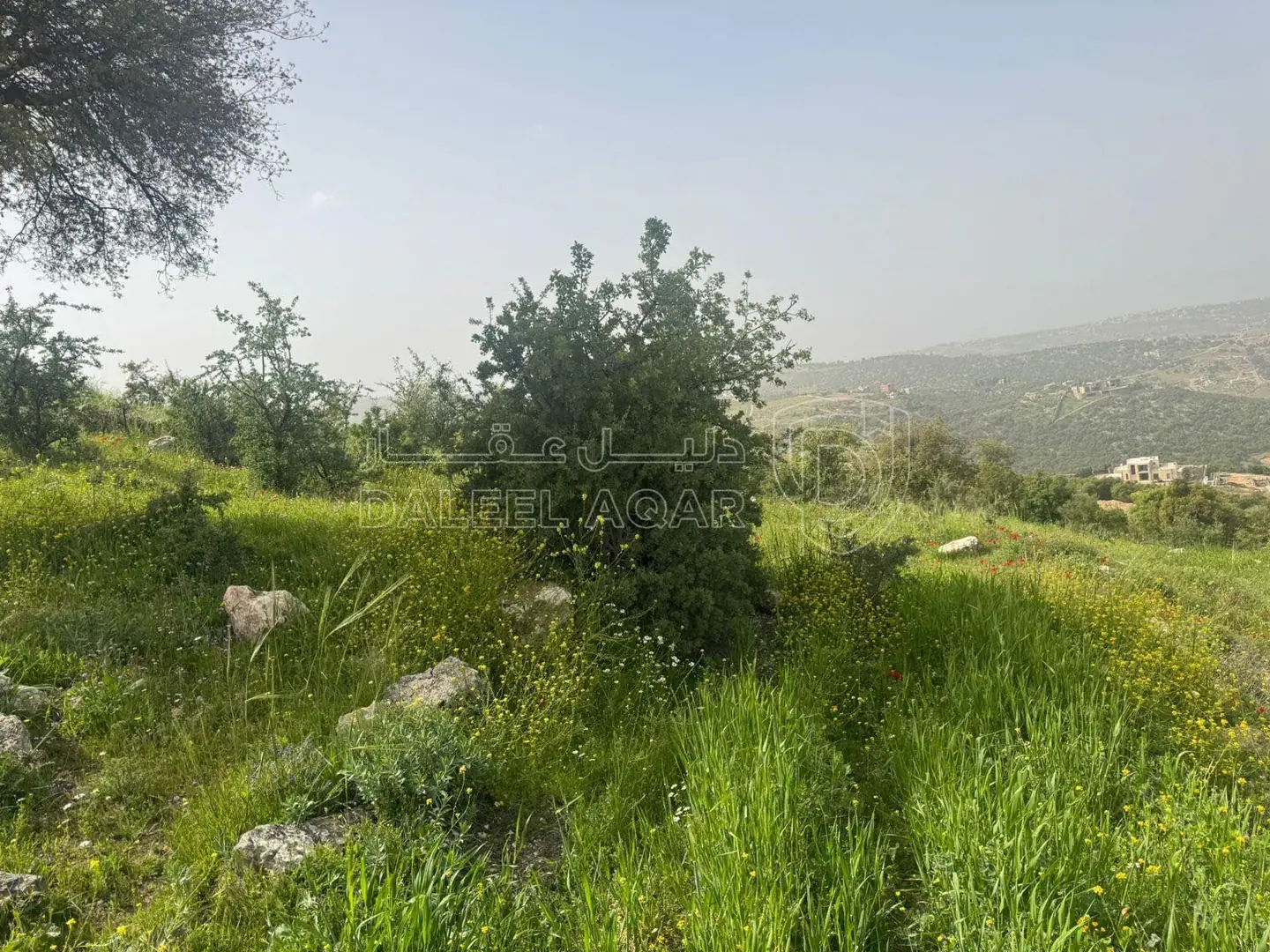 أرض في الزعتري السلط أطلاله رائعه - 250,000 دأ - صورة 1