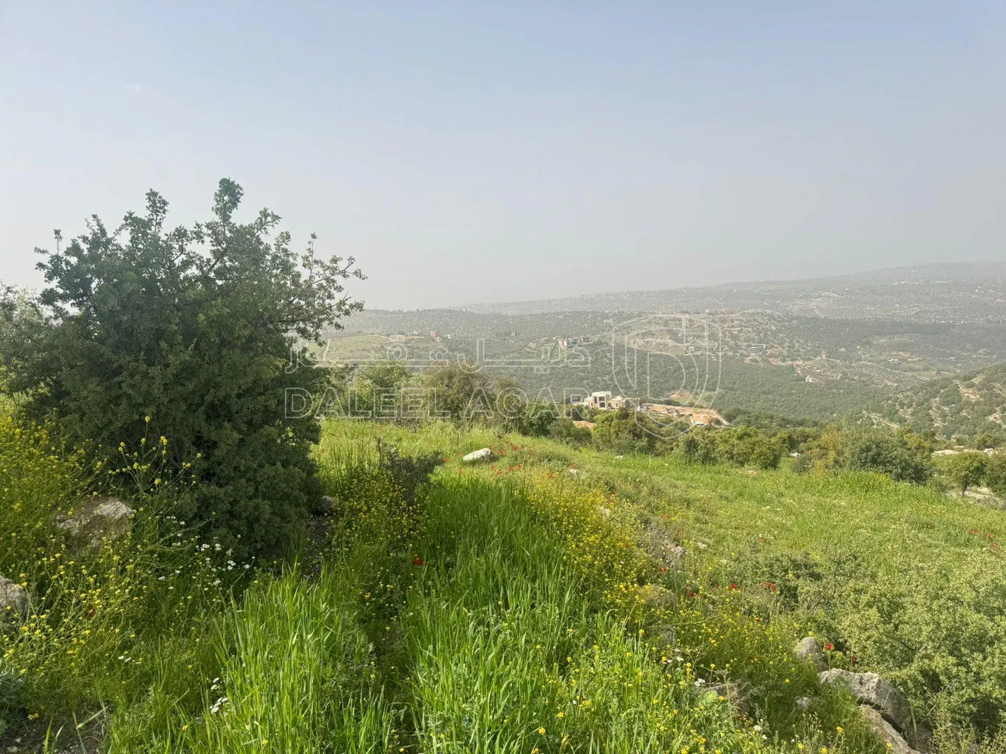 أرض في الزعتري السلط أطلاله رائعه - 250,000 دأ - صورة 1