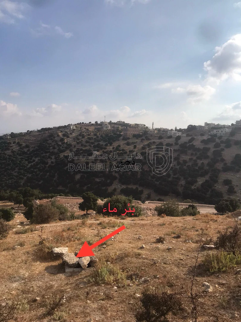 أرض في الزعتري السلط أطلاله رائعه - 250,000 دأ - صورة 1