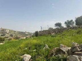 أرض - الزعتري السلط أطلاله رائعه - 250000 دأ