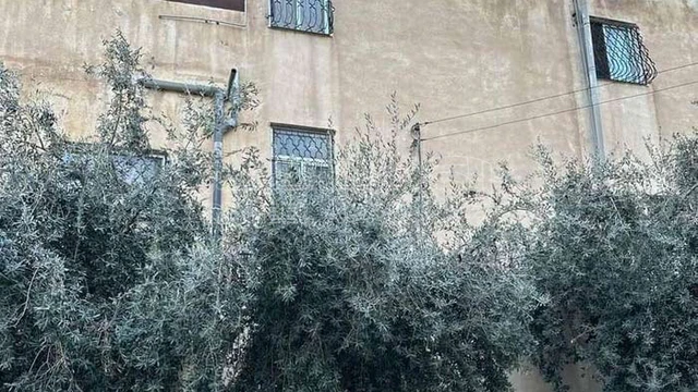 مبنى - أم نوارة بالقرب من الدفاع المدني - 58000 دأ