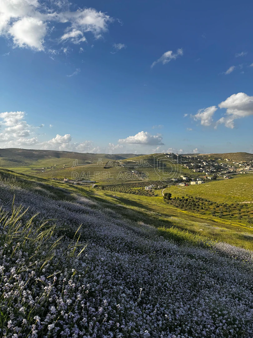 أرض في قطعة أرض استثمارية للبيع - 15,250 دأ - صورة 1