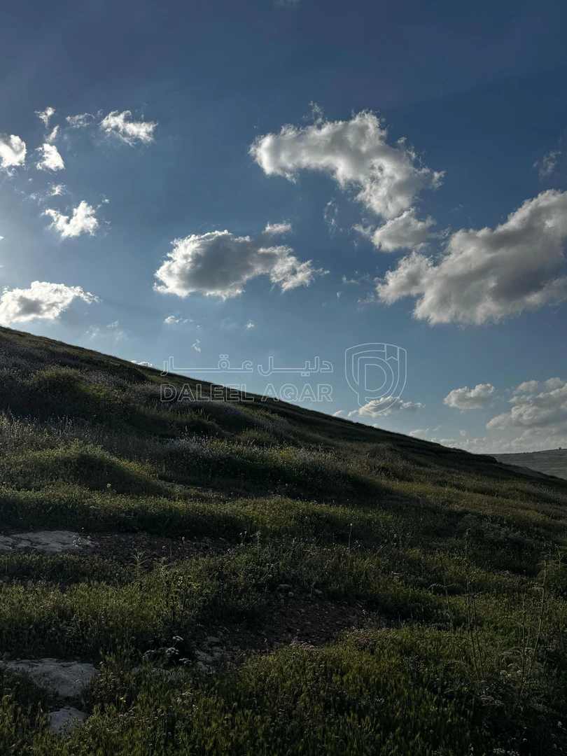 أرض في قطعة أرض استثمارية للبيع - 15,250 دأ - صورة 1