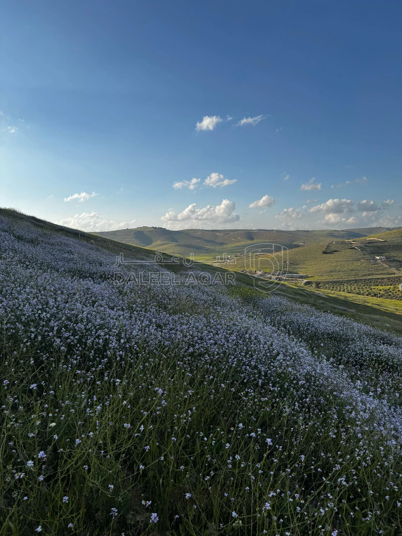 أرض في قطعة أرض استثمارية للبيع - 15,250 دأ - صورة 1