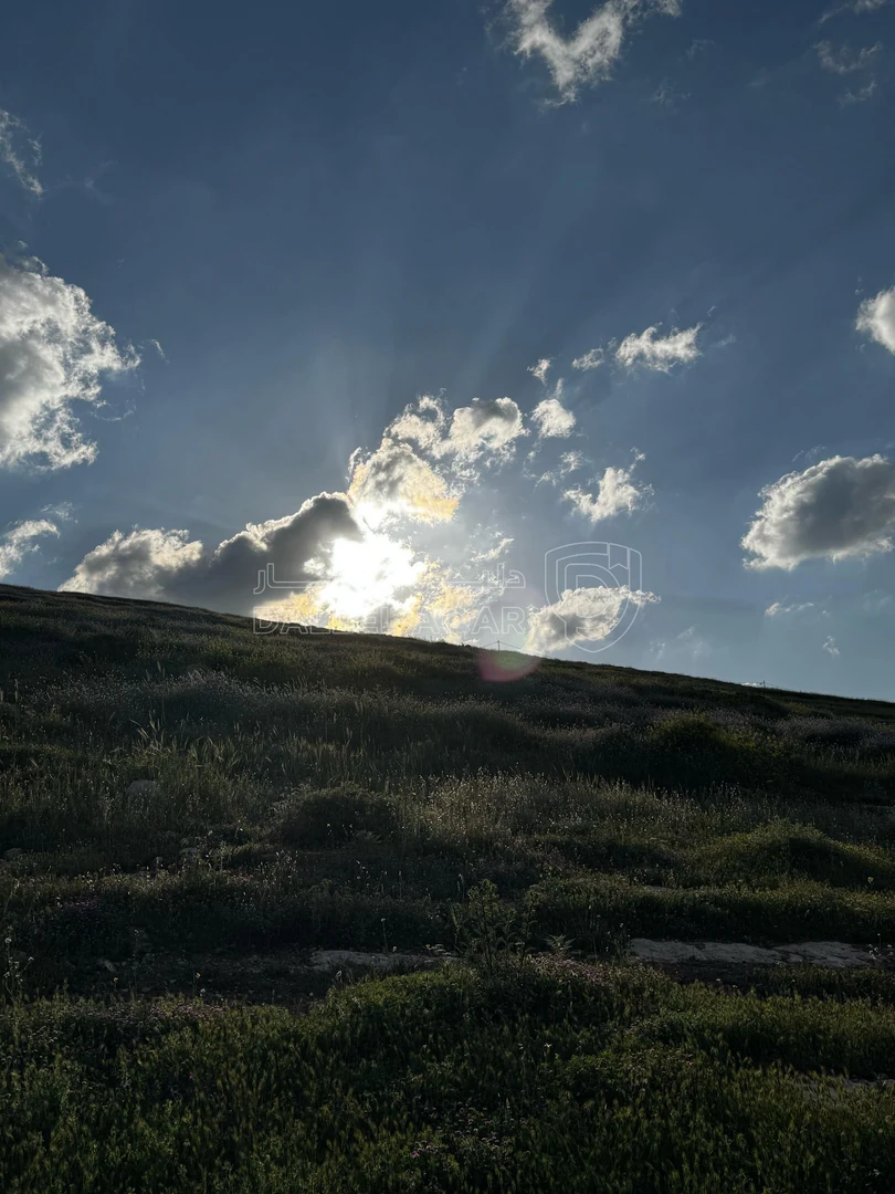 أرض في قطعة أرض استثمارية للبيع - 15,250 دأ - صورة 1