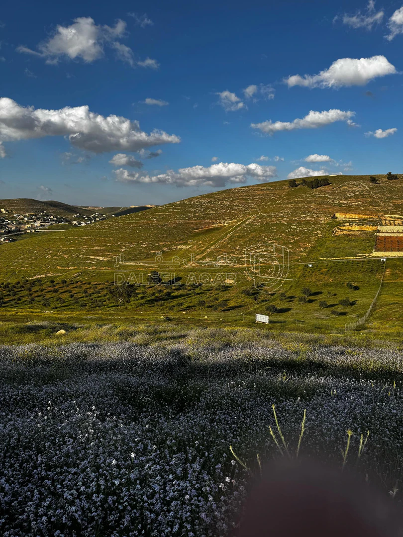 أرض في قطعة أرض استثمارية للبيع - 15,250 دأ - صورة 1