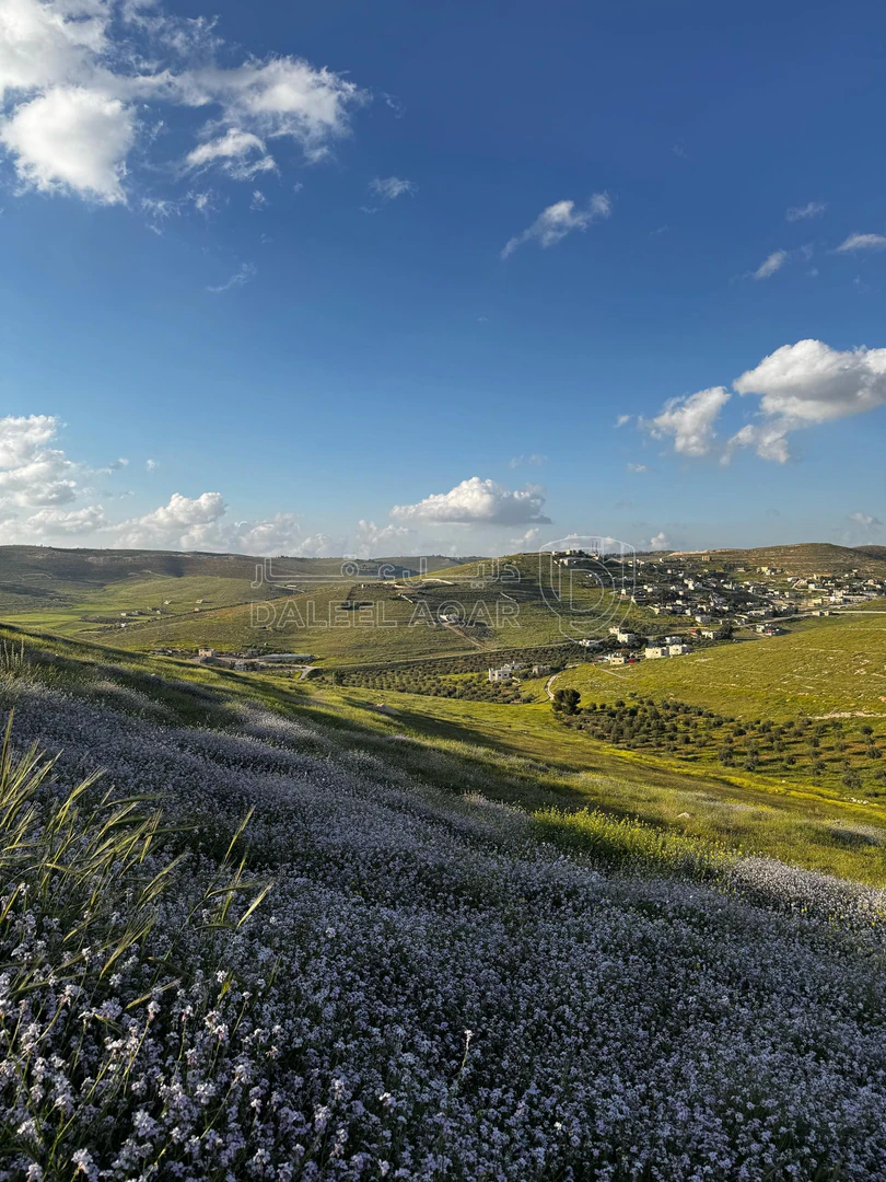 أرض في قطعة أرض استثمارية للبيع - 15,250 دأ - صورة 1