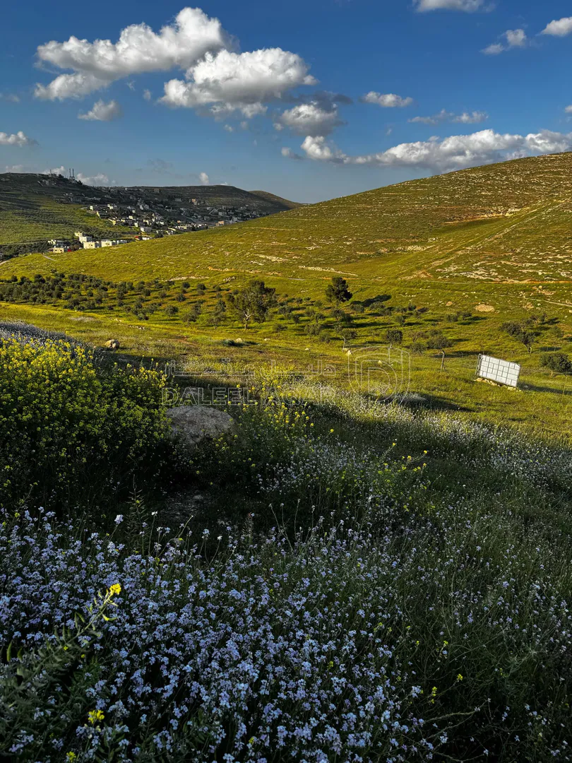 أرض في قطعة أرض استثمارية للبيع - 15,250 دأ - صورة 1