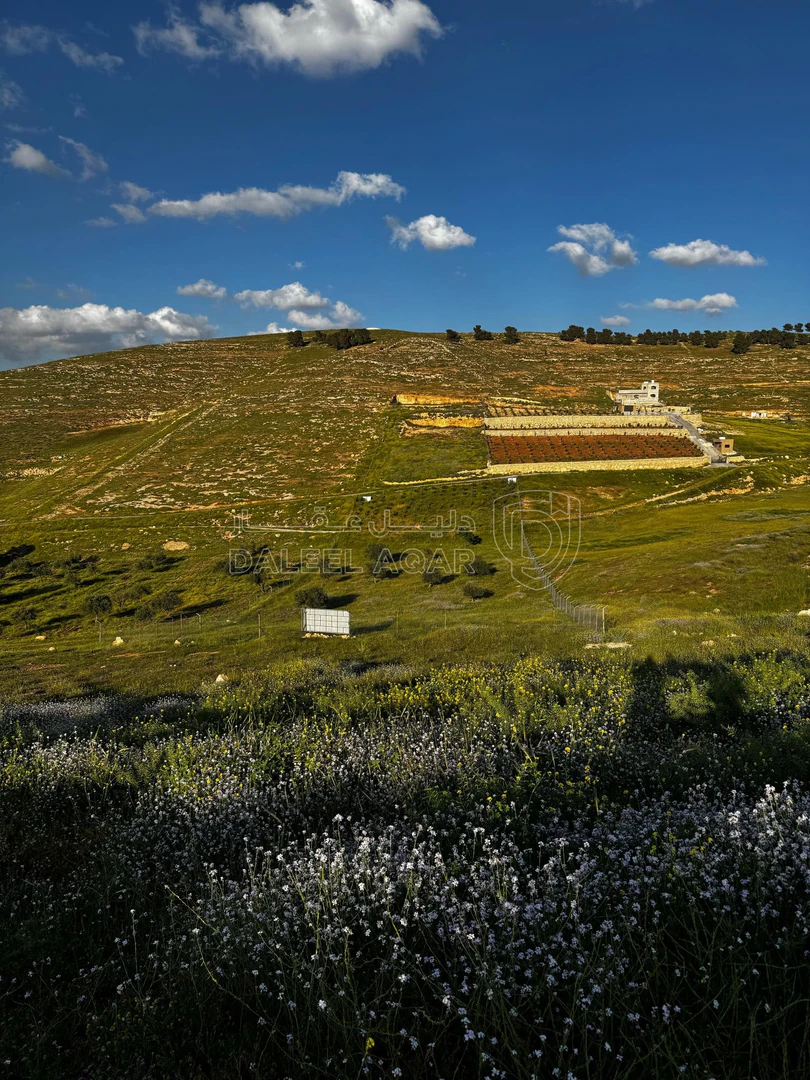 أرض في قطعة أرض استثمارية للبيع - 15,250 دأ - صورة 1