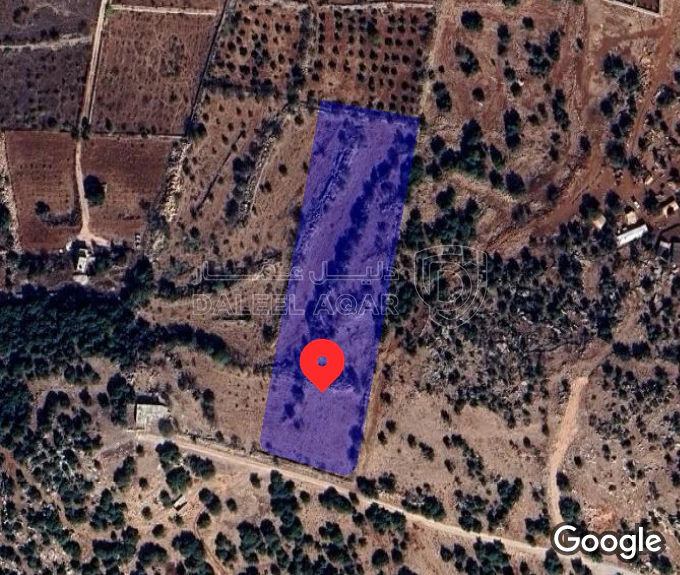 أرض في قطعة ارض مميزة في عجلون - رأس منيف بجوار غابة  - 135,000 دأ - صورة 1
