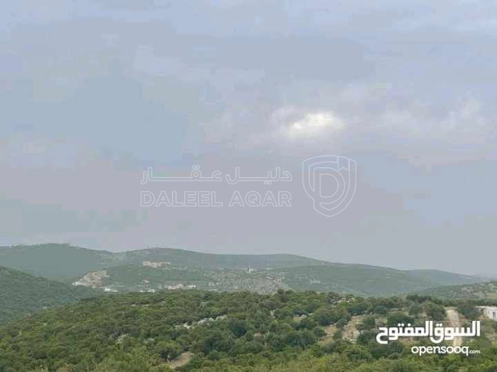 أرض في قطعة ارض مميزة في عجلون - رأس منيف بجوار غابة  - 135,000 دأ - صورة 1