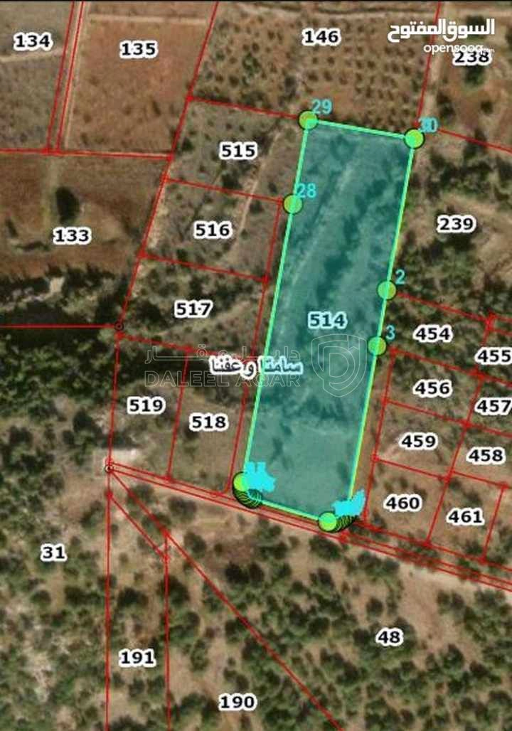 أرض في قطعة ارض مميزة في عجلون - رأس منيف بجوار غابة  - 135,000 دأ - صورة 1