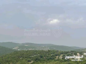 أرض في قطعة ارض مميزة في عجلون - رأس منيف بجوار غابة  - 135,000 دأ - صورة NaN