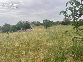 أرض في قطعة ارض مميزة في عجلون - رأس منيف بجوار غابة  - 135,000 دأ - صورة NaN